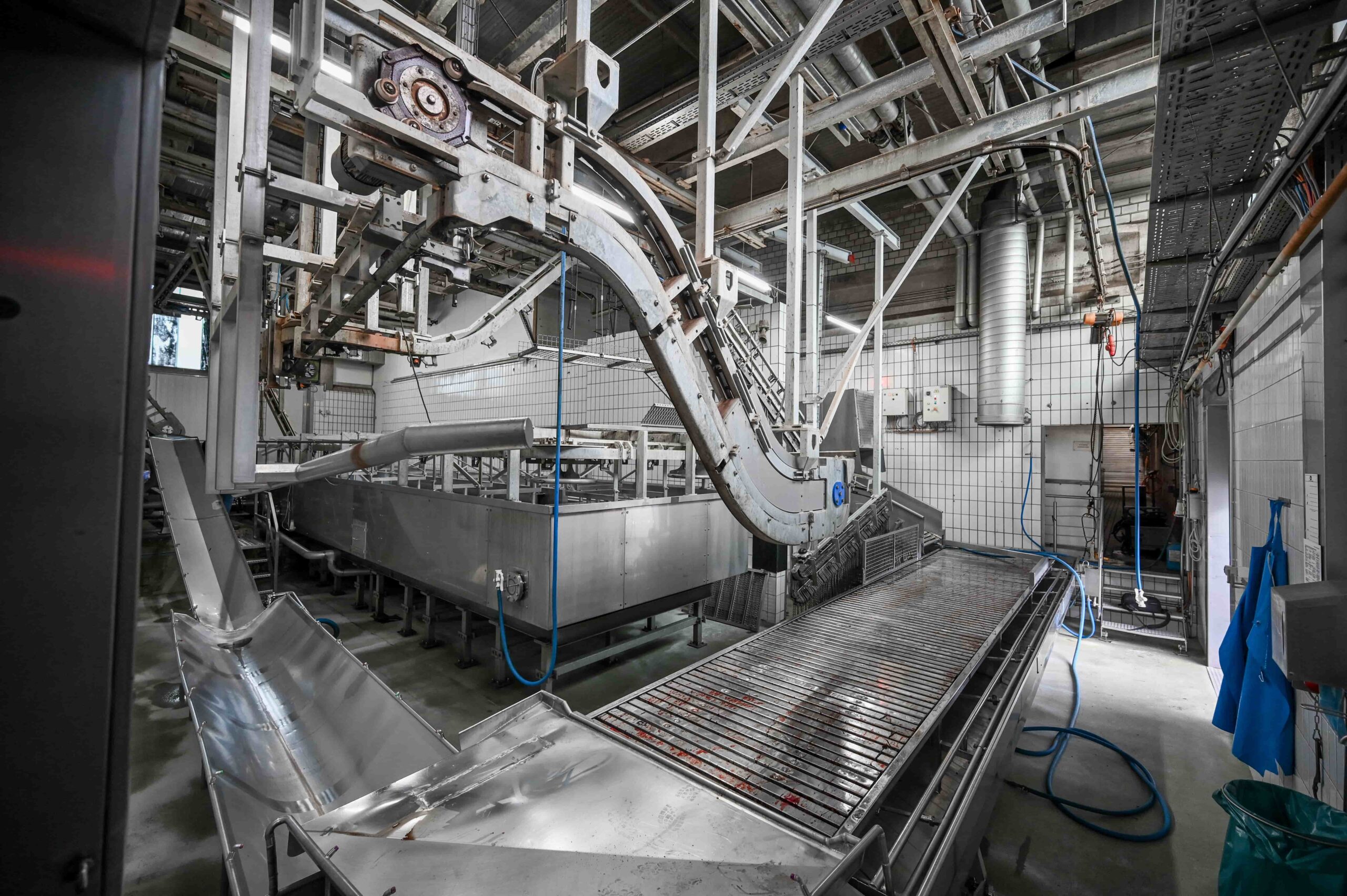2025 02 07 Steinemann Dgs 42