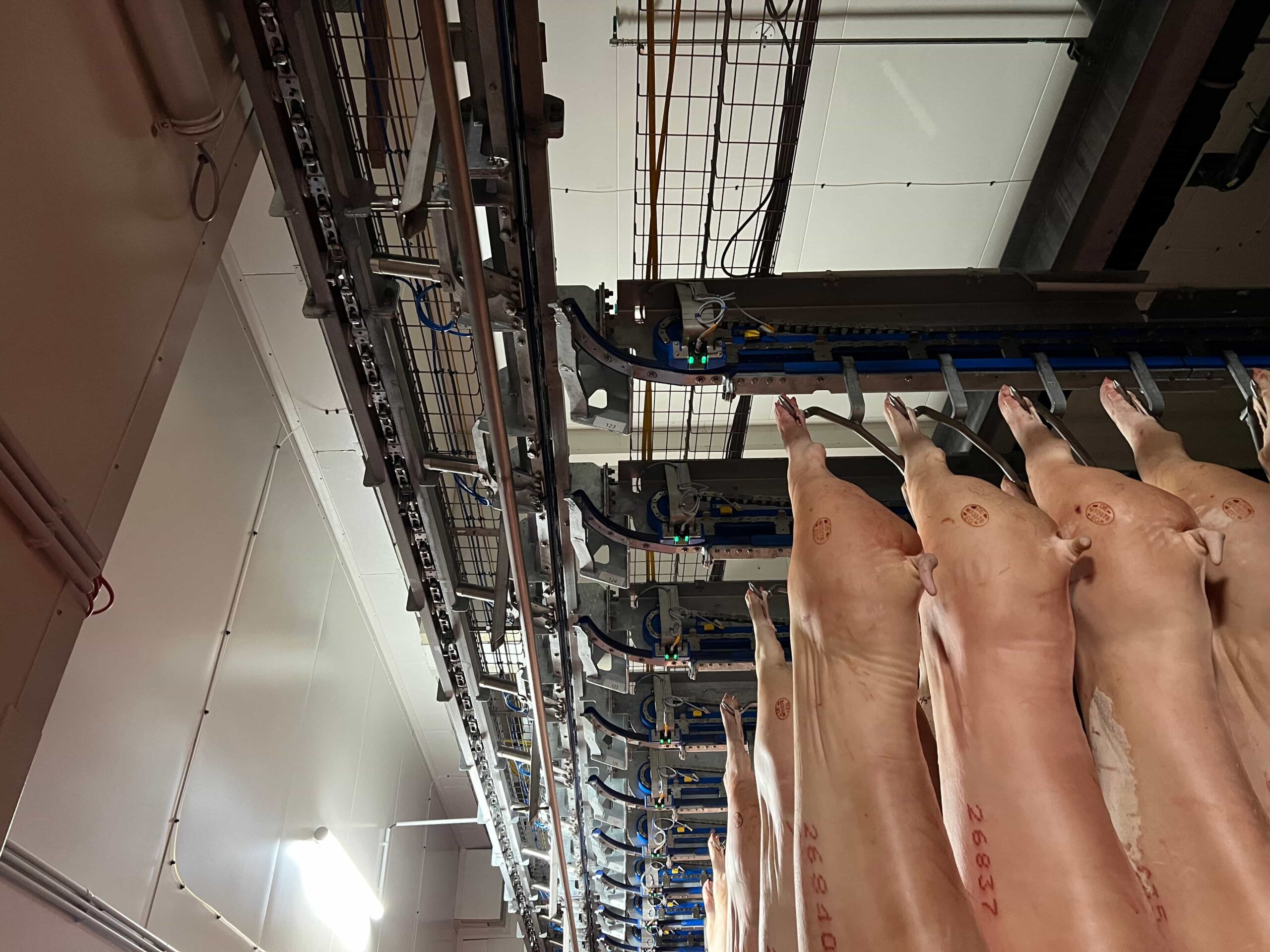 Mini Conveyors (2)