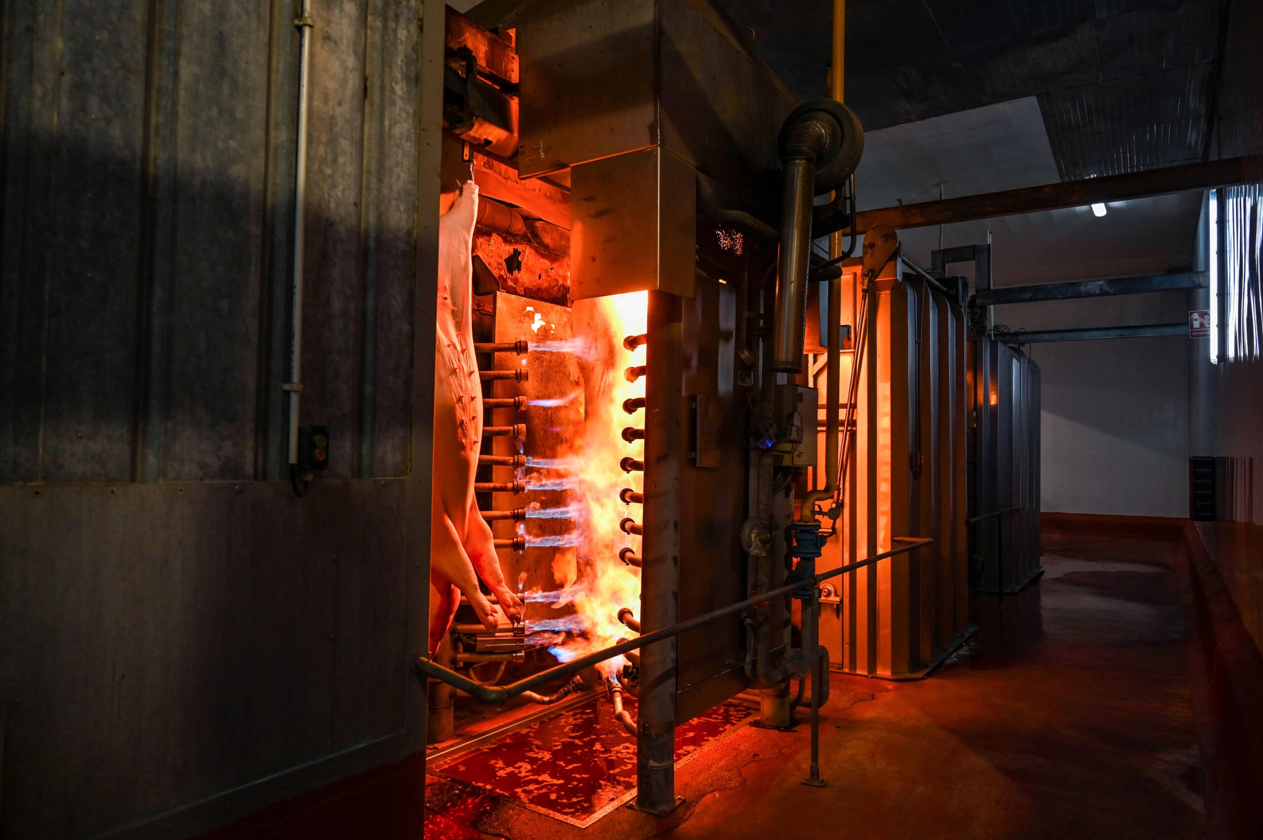 Vlamoven1